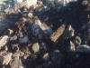 slika0065